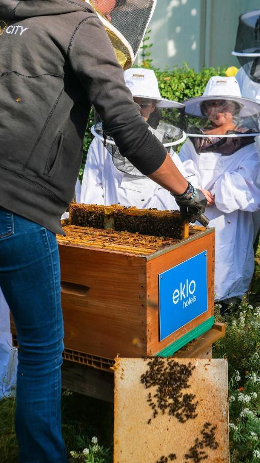 Eklo Hotels Лилль Экстерьер фото